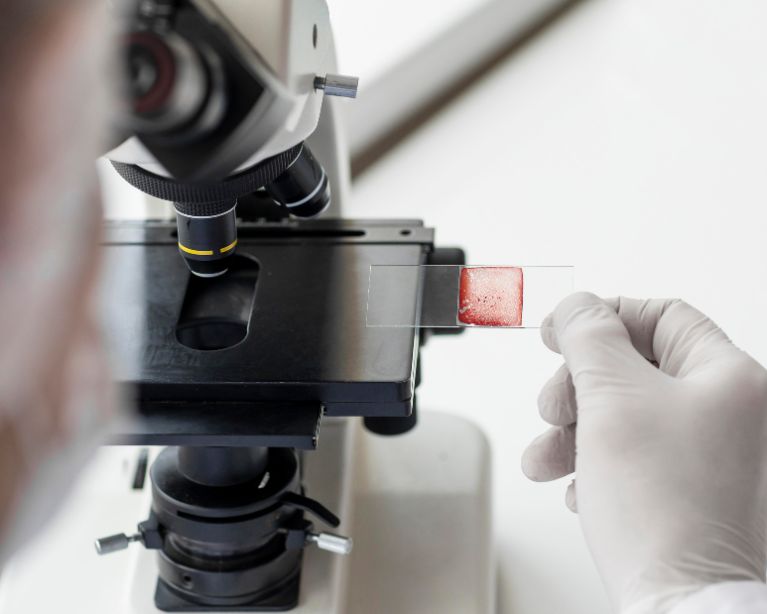 Exámenes Microbiológicos